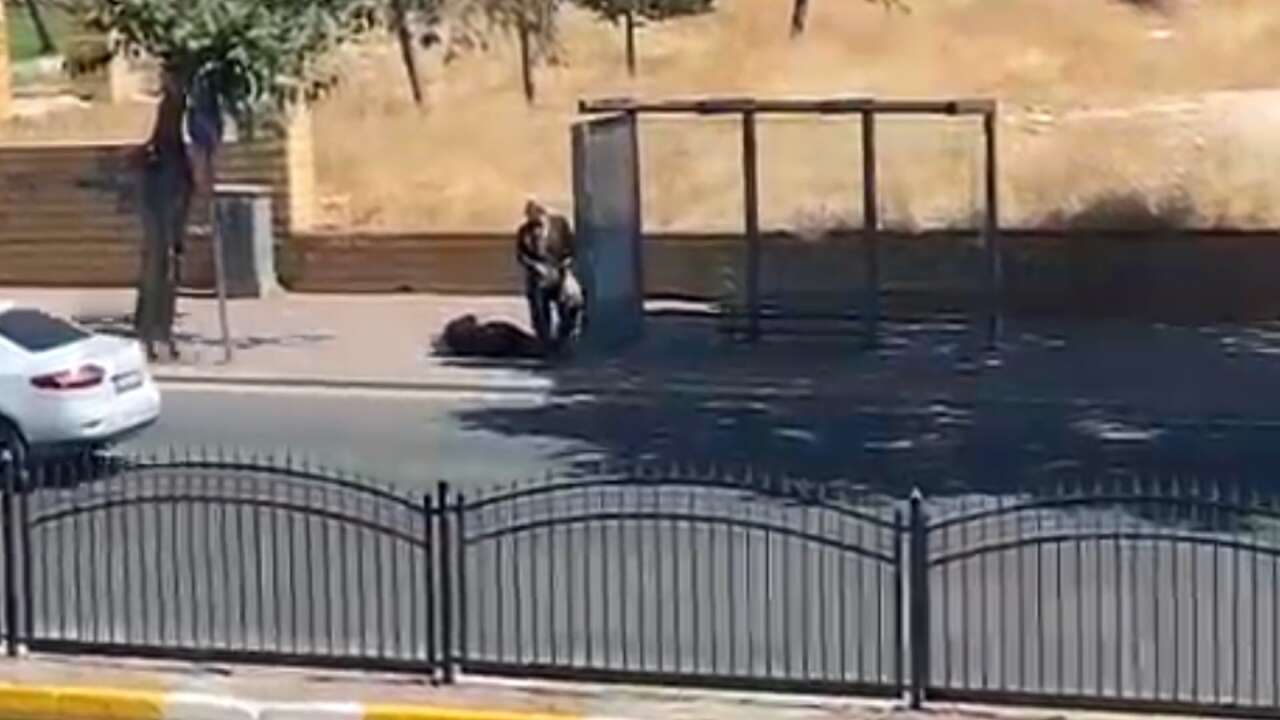 Boşanma aşamasındaki kocası durakta vurmuştu! Emine Dişçi’den acı haber geldi 10
